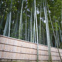 6017   bamboo fence