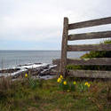 5800   headland fence