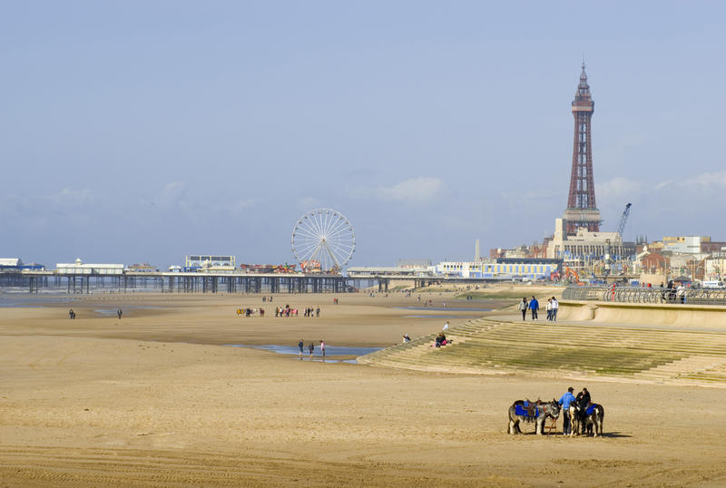 A group of saddled donkeys stands on the sandy beach at Blackpool waiting to give donkey rides to tourists with the Blackpool Tower and central pier visible behind