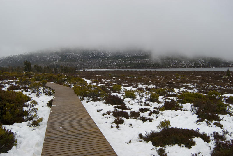 board walk over the marsh at pine lane, tasmania