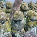 6050   Cute Otagi Nenbutsu ji Statues