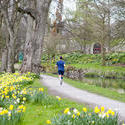 7576   Man running in Bute Park, Cardiff