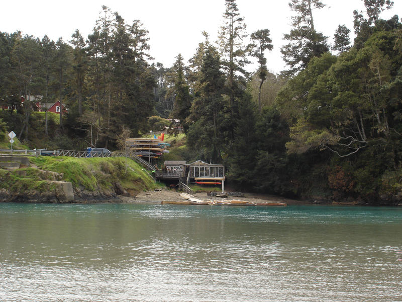 a secluded beach with wooden canoes waiting for hire