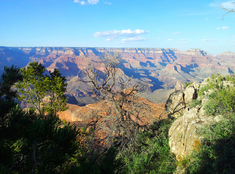 <p>Grand Canyon, south rim.</p>