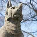 7584   Lynx on the Cardiff Castle Animal Wall