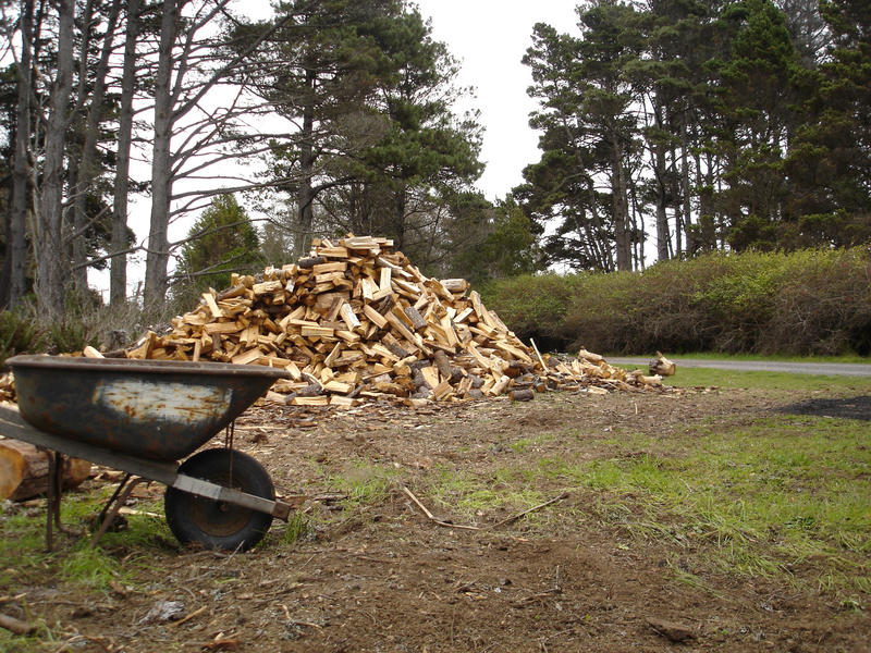 a pile of chopped firewood and a wheelbarrow for moving it