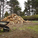 5793   wood pile