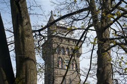 7567   Clock Tower on Cardiff Castle