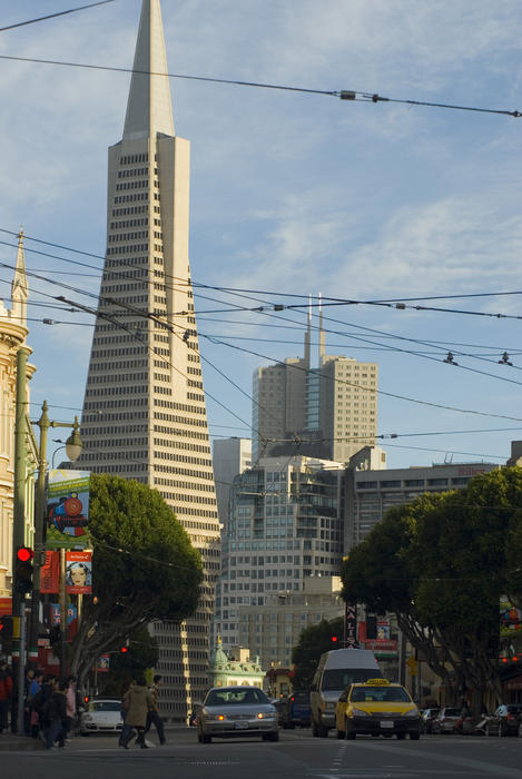 a view down columbus avenue towards downtown and the transamerica pramid building