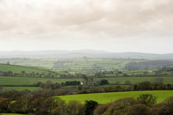7281   Cornwall country landscape