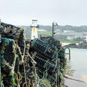 7287   Lobster pots in St Ives harbour