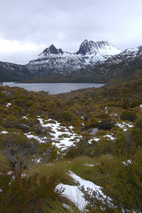 winter in tasmanias high country, Cradle Mountain-Lake St Clair National Park