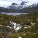 5859   tasmania national park