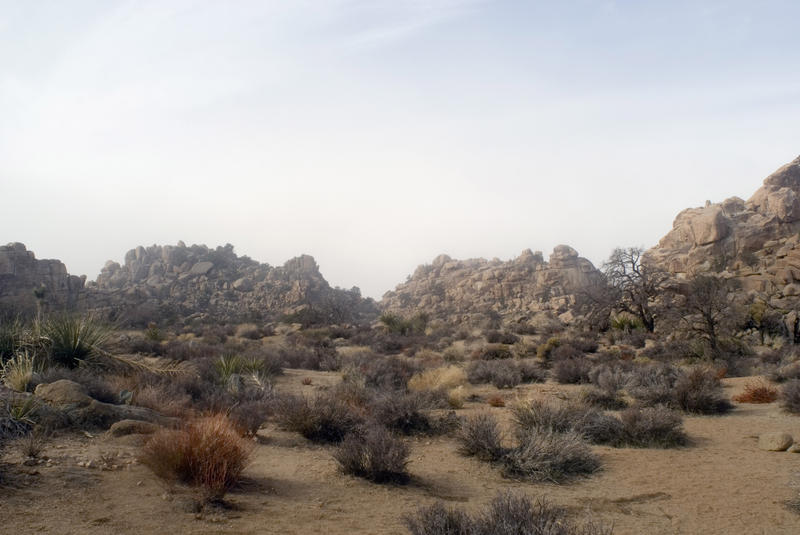 desolate rocky landscape in the joshua tree national park