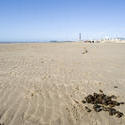 7667   Donkey rides on Blackpool beach