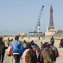 7669   Blackpool donkey rides