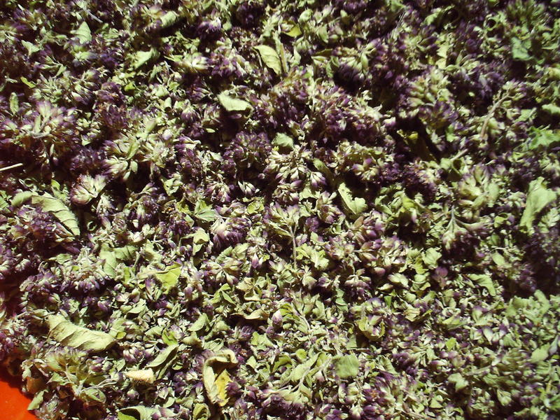 <p>dried origano</p>