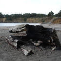 5794   burnt log