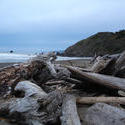 5795   driftwood beach