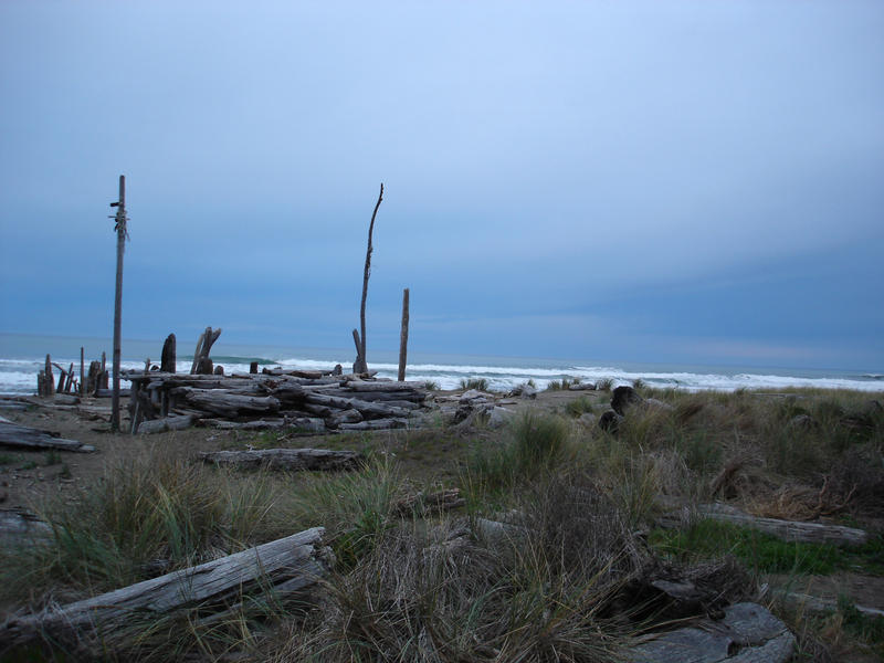 an arrangement of diftwood with a stormy seascape to the rear