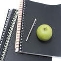 6987   Apple and pen on notebooks