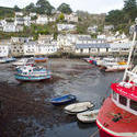 7290   Polperro harbour and cottages