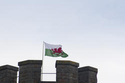 7589   The Welsh Flag