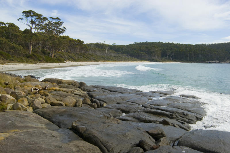 a daytime view of the beach at fortescue bay