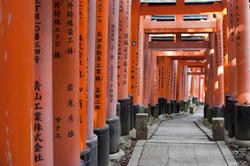 6055   Kyoto Torii gates