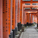 6055   Kyoto Torii gates