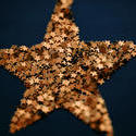 6814   Golden Christmas star