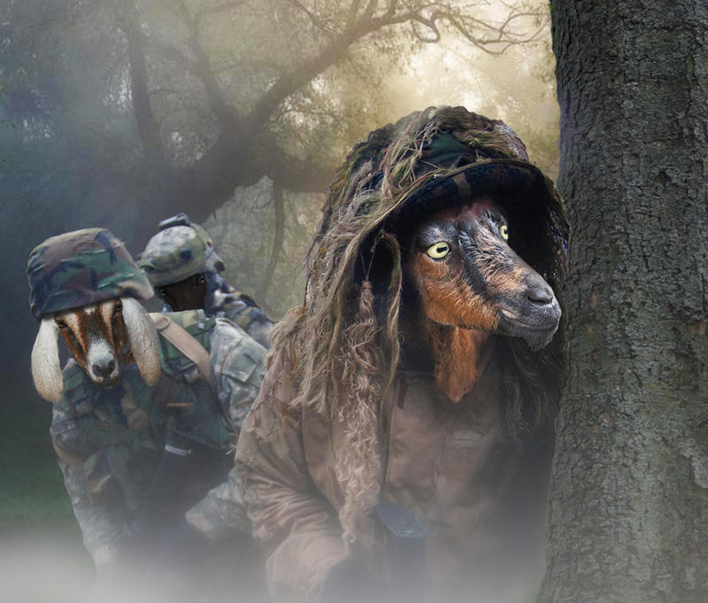 <p>Goat Snipers </p>