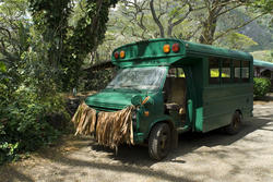 5517   Grass skirted bus