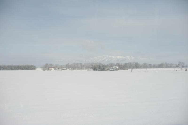 a bleak snow covered landscape, northern Japan in winter