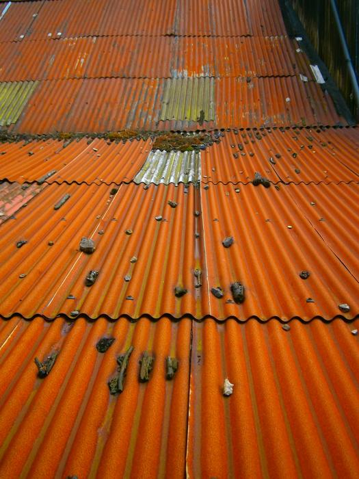 <p class="MsoNormal">On a hot tin roof</p>
<p>Pebbles lay thrown on an old rusty corrugated steel roof&nbsp;</p>