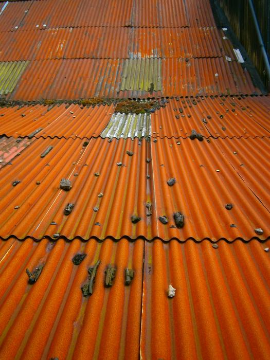 <p class="MsoNormal">On a hot tin roof</p>
<p>Pebbles lay thrown on an old rusty corrugated steel roof </p>