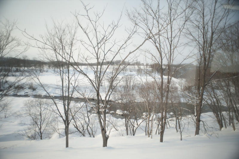 a winter landscape on the japanese island of hokkaido