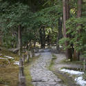 6066   Isuien Garden Path