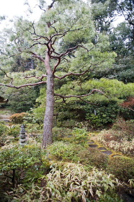 Traditional japanese zen temple gardens at Koto-in (Daitoku-ji) kyoto