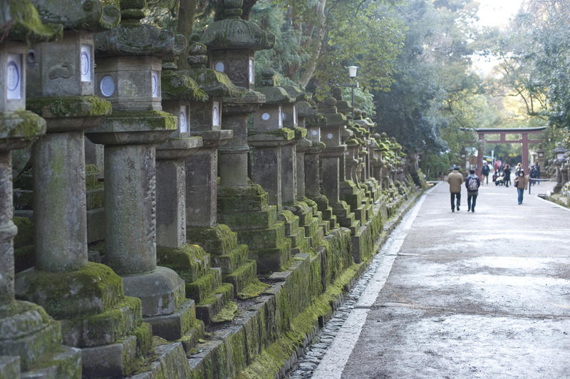 moss covered Tachi-doro stone lanterns line the streets around the Kasuga Taisha Shrine in Nara, Japan