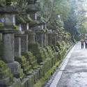6067   Kasuga Taisha Temples