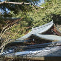 6077   Ryoan ji Roof