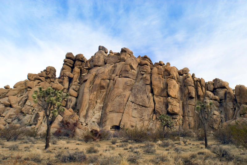 joshua trees and stone cliffs dessert landscape, joshua tree national park, california