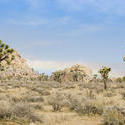 5643   valley of joshua trees