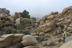 5669   joshua tree hike