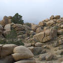 5669   joshua tree hike