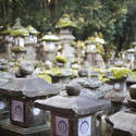 6076   Kasuga Taisha Lanterns