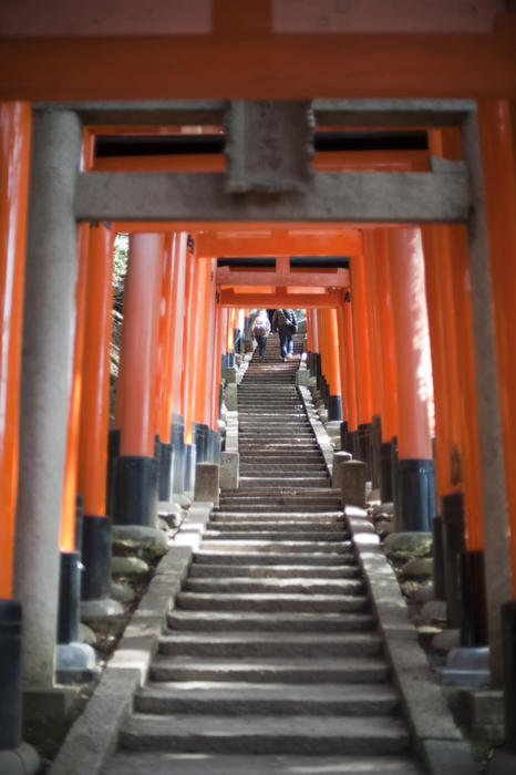lines of torri gates donated by locals at the Fushimi Inari-taisha, an Inari shrine in tyoto, Japan
