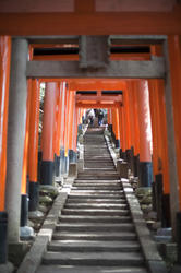 6005   torii gates