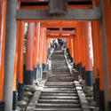 6005   torii gates